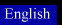 English Version